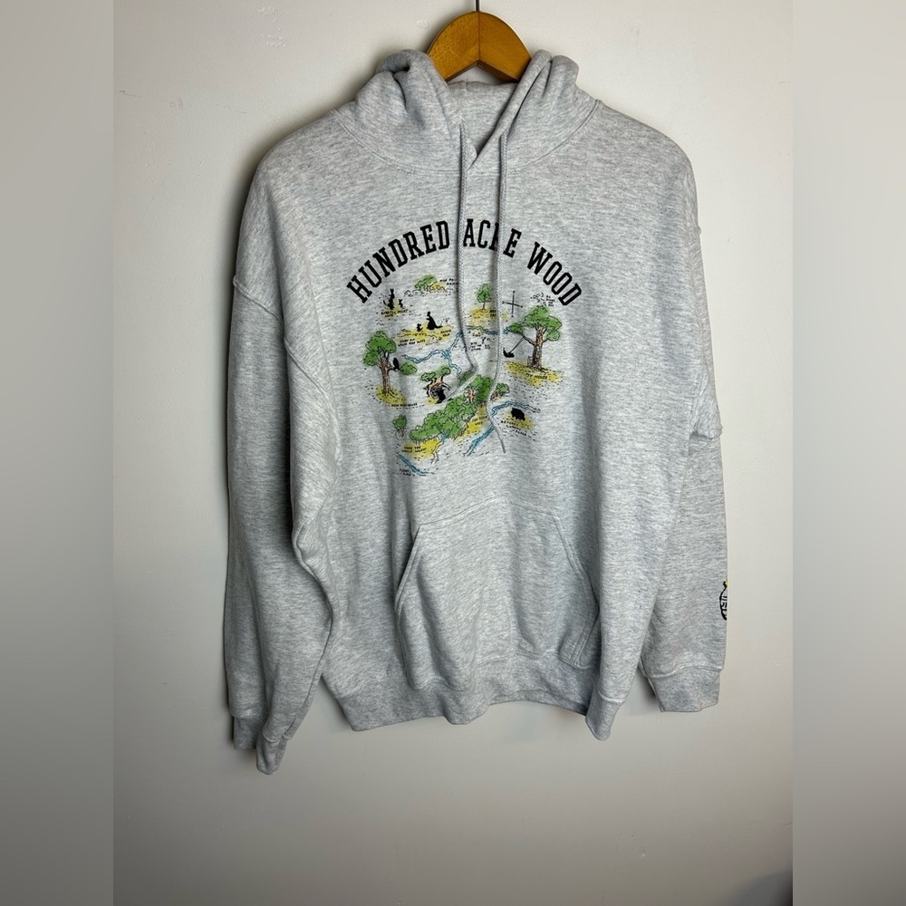 Disney Winnie the Pooh Hundred Acre Wood Gray Hoodie Sweater Size M